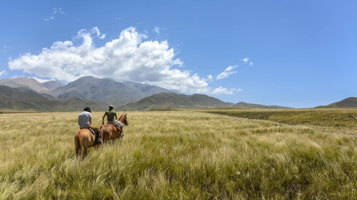 Paraguay landscape
